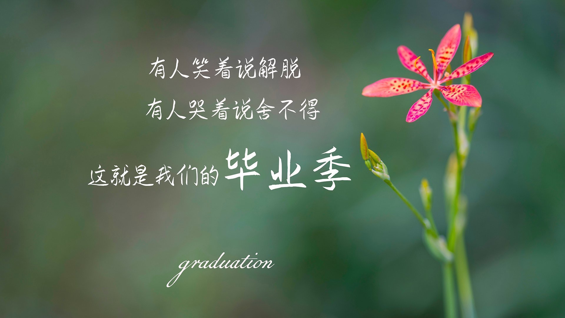 熊猫体育app下载-【团队合作的力量】队伍X完美配合赢得关键战，团队合作配合语句